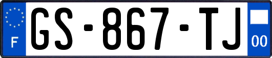 GS-867-TJ