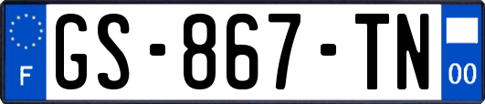GS-867-TN