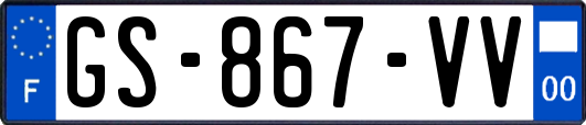 GS-867-VV