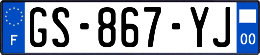 GS-867-YJ