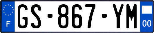 GS-867-YM