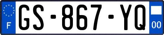 GS-867-YQ