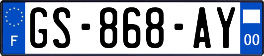 GS-868-AY