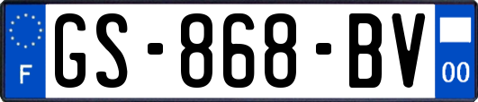 GS-868-BV