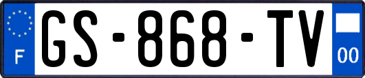 GS-868-TV