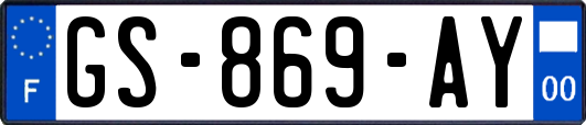 GS-869-AY