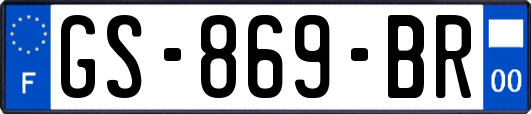 GS-869-BR