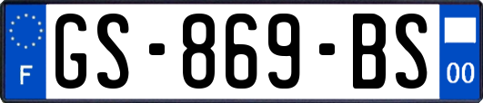 GS-869-BS