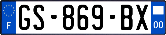GS-869-BX