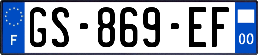 GS-869-EF