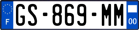 GS-869-MM