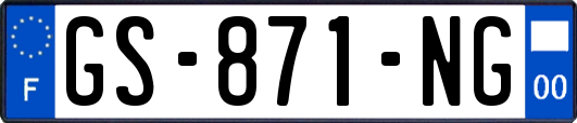 GS-871-NG