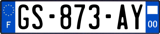 GS-873-AY