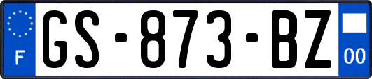 GS-873-BZ