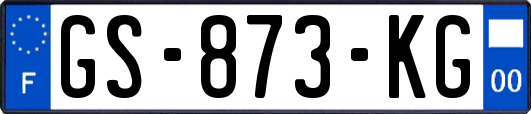 GS-873-KG