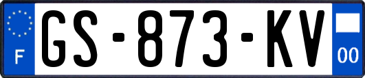 GS-873-KV