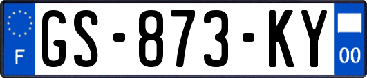 GS-873-KY