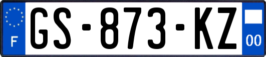 GS-873-KZ