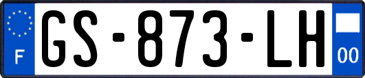 GS-873-LH
