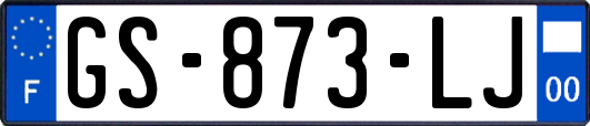 GS-873-LJ