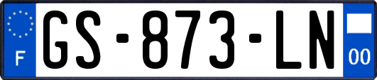 GS-873-LN