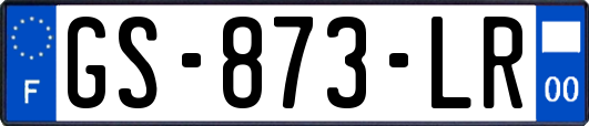 GS-873-LR