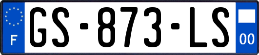GS-873-LS