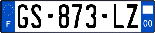 GS-873-LZ