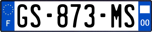 GS-873-MS