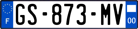 GS-873-MV