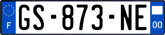 GS-873-NE