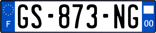 GS-873-NG