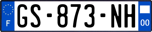 GS-873-NH