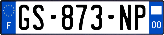 GS-873-NP