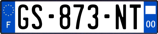 GS-873-NT