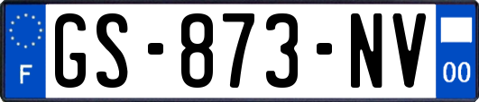 GS-873-NV