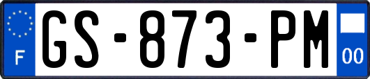 GS-873-PM