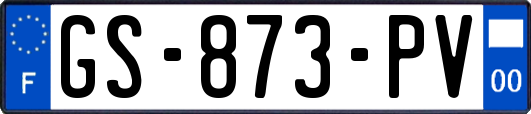 GS-873-PV