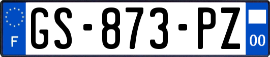 GS-873-PZ
