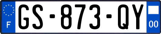 GS-873-QY