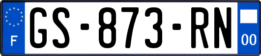 GS-873-RN