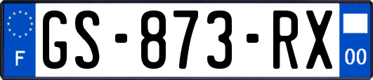 GS-873-RX