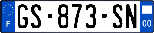 GS-873-SN