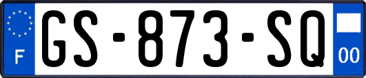 GS-873-SQ