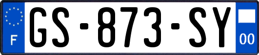 GS-873-SY