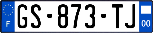 GS-873-TJ
