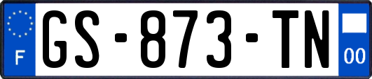 GS-873-TN