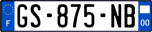 GS-875-NB