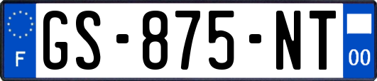 GS-875-NT