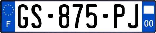 GS-875-PJ